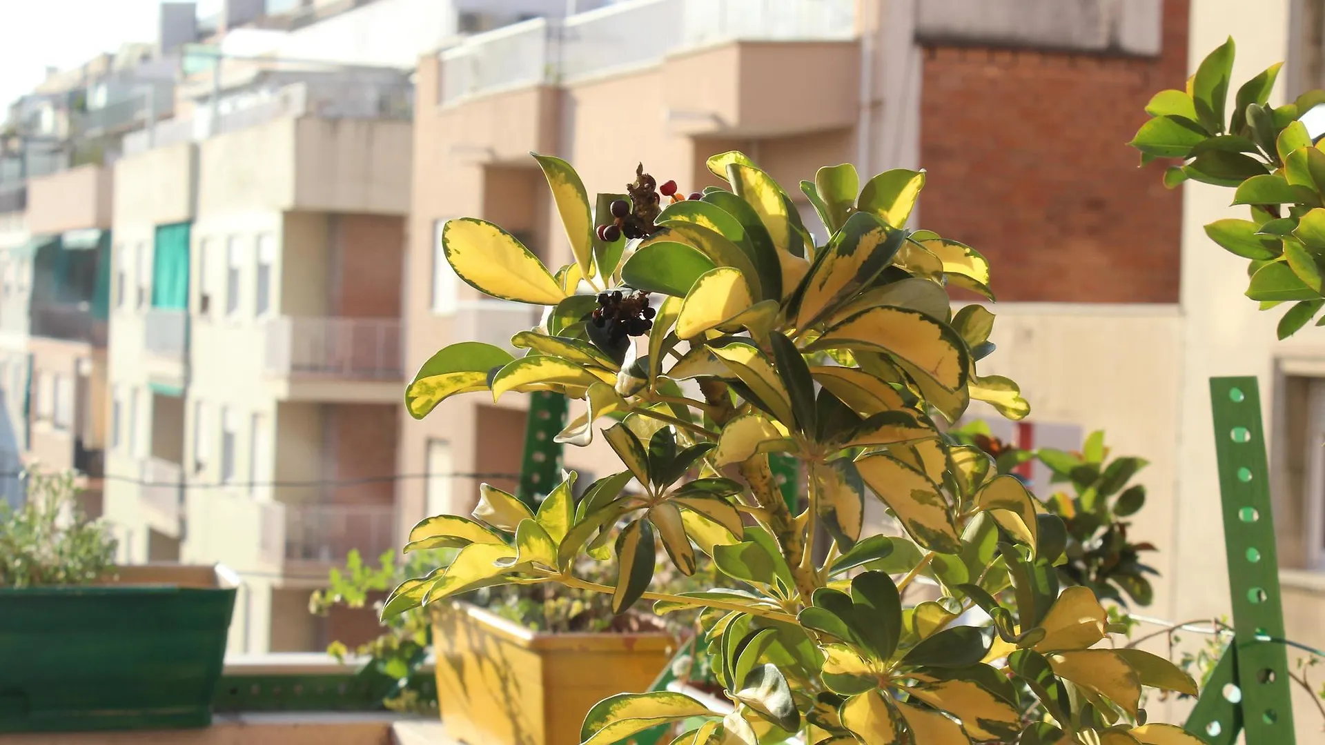 Hostel One Sants Barcelone